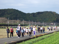 史跡めぐり30kmハイキング