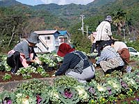 花の会