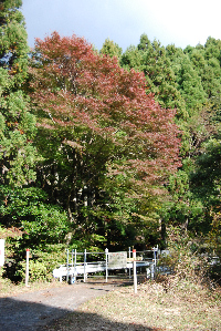 長九郎山の紅葉 長九郎山の紅葉