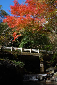 池代の紅葉 池代の紅葉