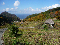 棚田 棚田