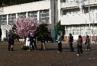 ロケ ロケ