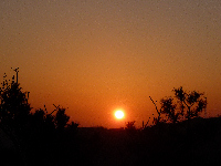 夕景 夕景