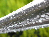 雨 雨