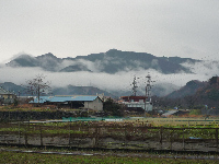 雨