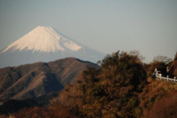 富士山 富士山