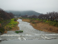 雨