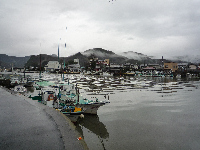 河口 河口