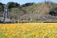 花畑 花畑