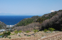 棚田からの富士山