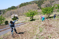 棚田 棚田