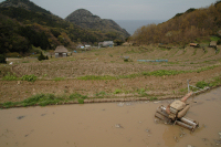 石部棚田 石部棚田