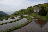 棚田 棚田