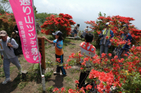 雲見高通山ツツジはいきんぐまつり