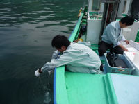 海水浴場水質検査