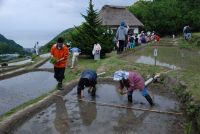 石部棚田田植祭