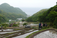 石部棚田田植祭