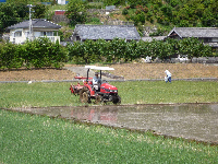 田植え準備