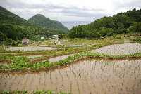 棚田