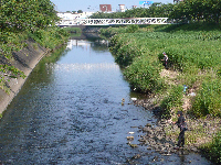 鮎釣り解禁 鮎釣り解禁