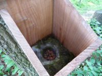 牛原山鳥の巣箱