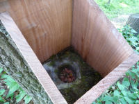 牛原山鳥の巣箱 牛原山鳥の巣箱