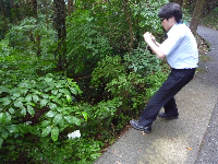 不法投棄パトロール 不法投棄パトロール