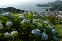 牛原山 牛原山