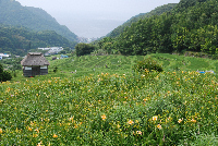 棚田 棚田