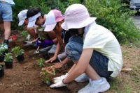 三聖塾花植え 三聖塾花植え