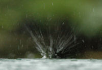 雨 雨