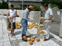 松崎海岸ブイ設置 松崎海岸ブイ設置