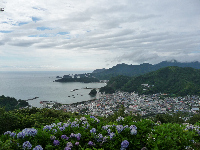 牛原山アジサイ 牛原山アジサイ