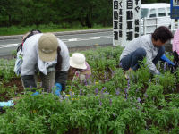 町内花植え