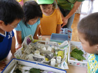 岩科幼稚園家族参観日