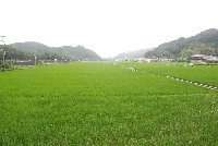 那賀耕地 那賀耕地