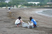 海岸清掃が始まりました