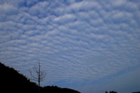 空一面のひつじ雲