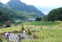棚田収穫祭 棚田収穫祭