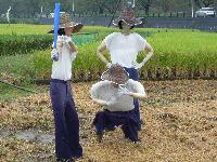 案山子 案山子