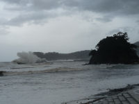 台風