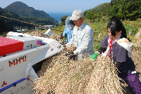 棚田脱穀作業