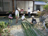 花の会花鉢準備