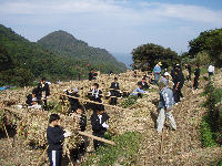 松崎高校職場体験