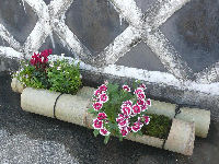 花の会 花の会