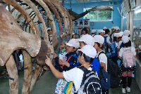 松小クジラ館見学