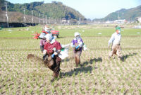 花畑肥料まき