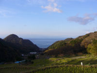 棚田富士山