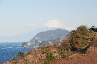 富士山（岩地）