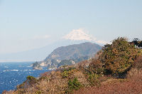 富士山(岩地) 富士山(岩地)